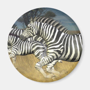 Tävla Rand - Zebra Magnet