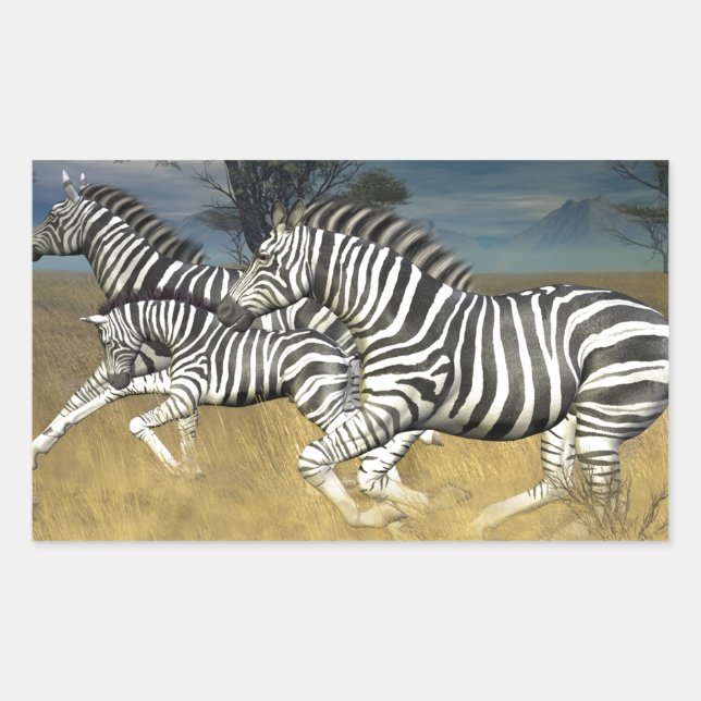 Tävla Rand - Zebra Rektangulärt Klistermärke (Framsida)