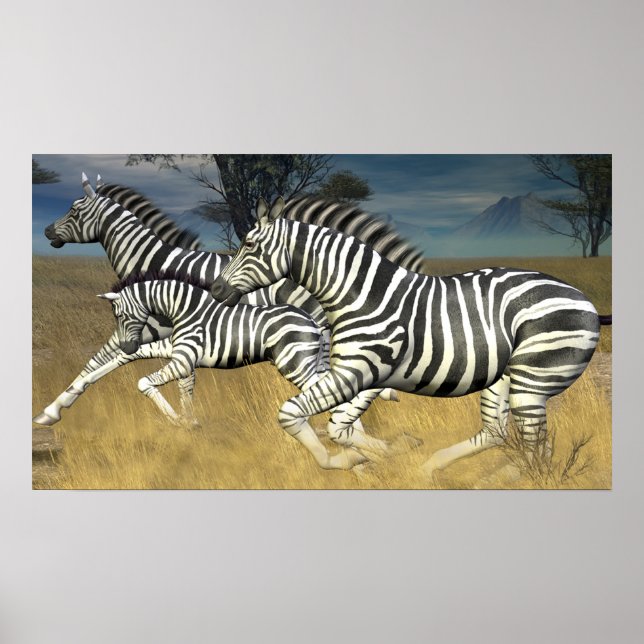 Tävla Rand - Zebrabesättning Poster utskrift (Framsidan)