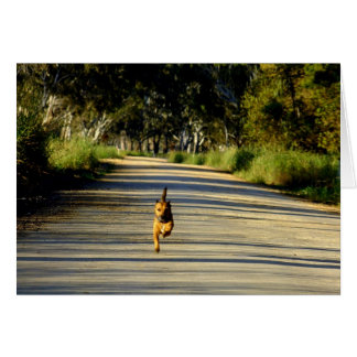 Tävla till dig! hälsningskort