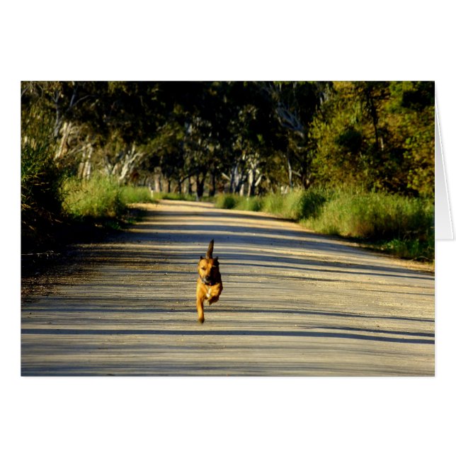 Tävla till dig! hälsningskort (Framsidan Horizontal)