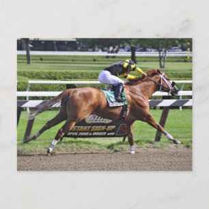 Tävla vid Historic Saratoga Racetrack Vykort