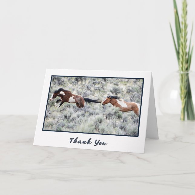 Tävla Vild Stallions Foto - tackkort (Framsida)