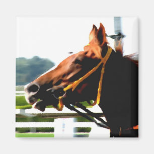 Tävling Horse magnet