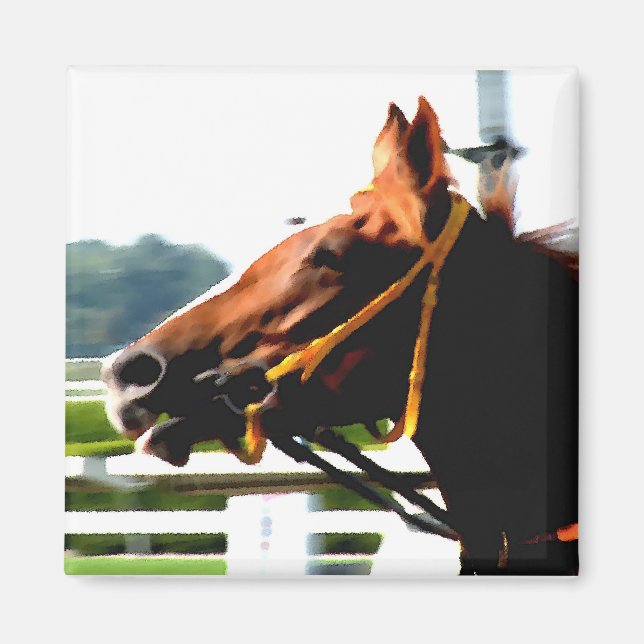 Tävling Horse magnet (Framsidan)