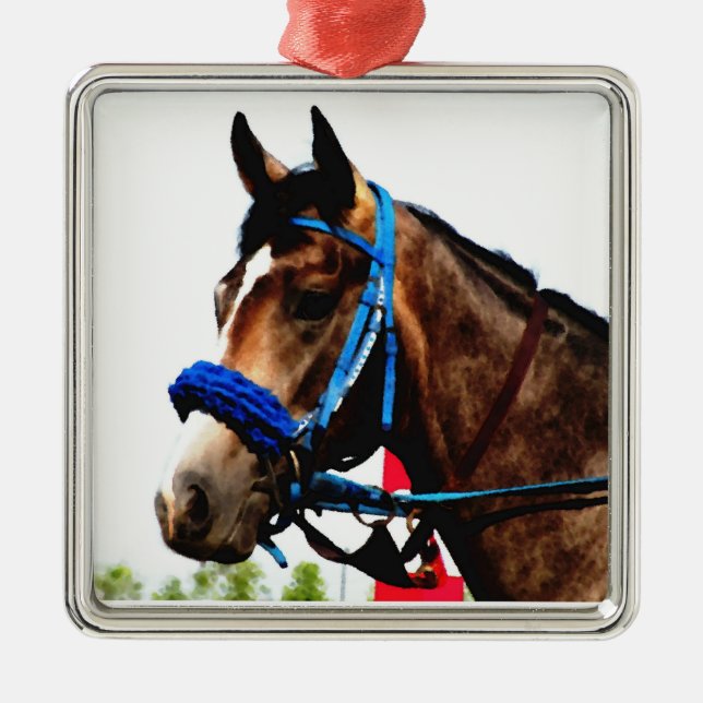 Tävling Horse ornament (Framsidan)