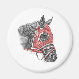 Tävling Horse Porträtt Silke Magnet