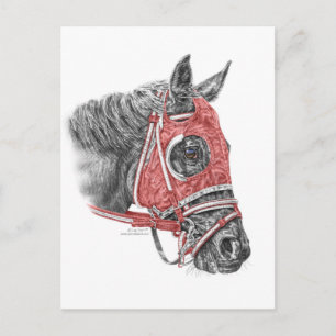 Tävling Horse Porträtt Silke Vykort
