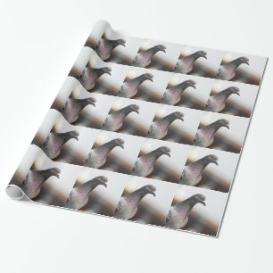 Tävlings- duva presentpapper