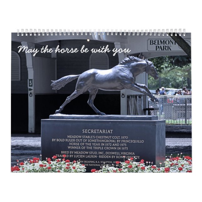 Tävlings- fläkt kalender (Omslag)