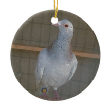 Tävlings- Homer prydnad