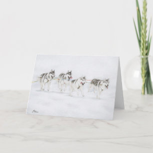Tävlings- lag för siberian huskySledhund Kort