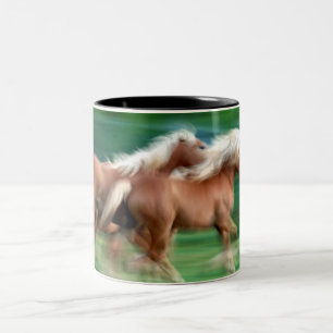 Tävlings- mugg för Palominohästkaffe