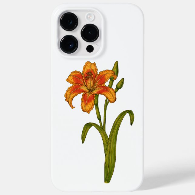 Tawny Day lily (Baksida)