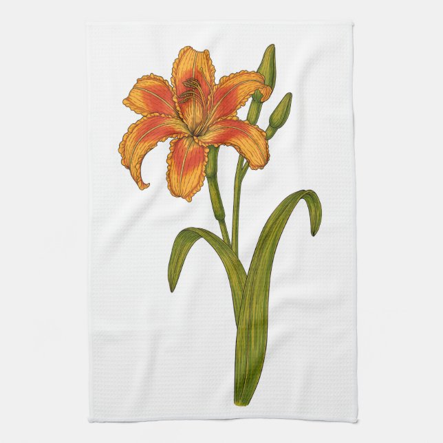 Tawny Day lily Kökshandduk (Vertikal)