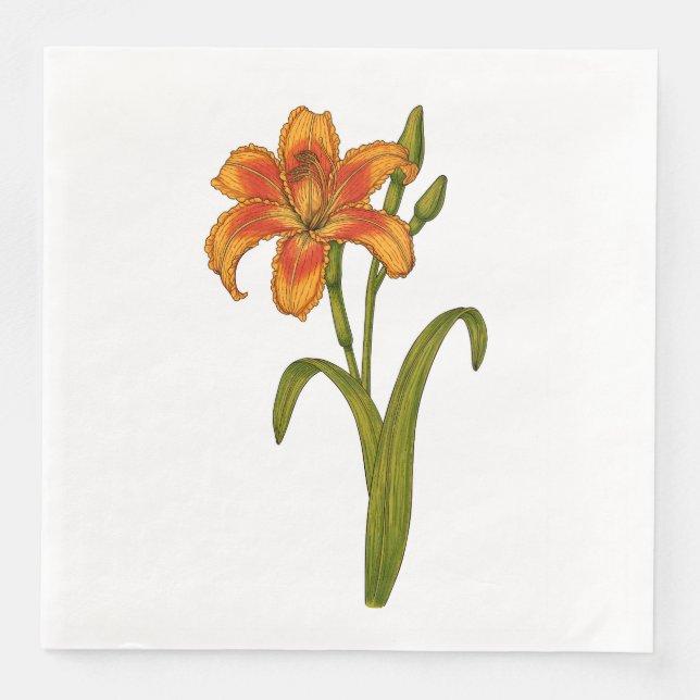 Tawny Day lily Pappersservett (Framsida)
