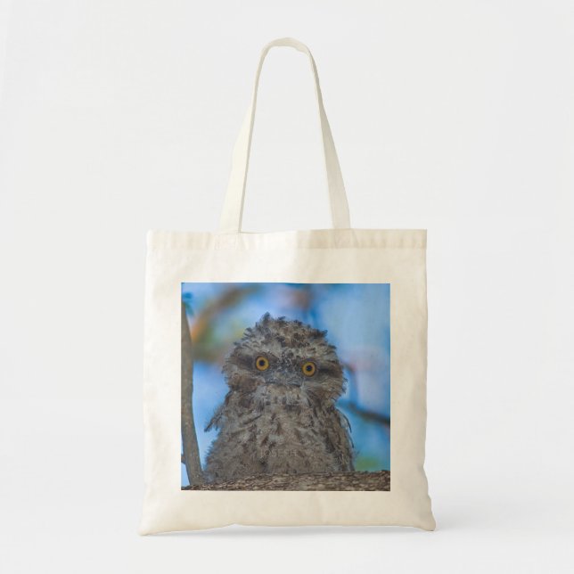 Tawny Frogmouth Tygkasse (Framsidan)