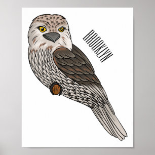 Tawny grogmouth bird tecknad illustration poster