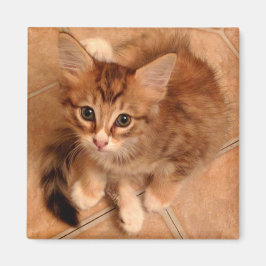 Tawny Kattunge Magnet