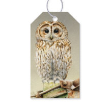 Tawny uggla bra konst målar julklapp märkre