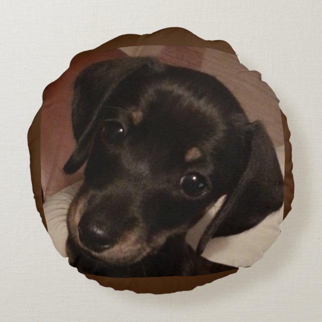 Tax borstad Poly rundadekorativ kudde (16") (Baksidan)