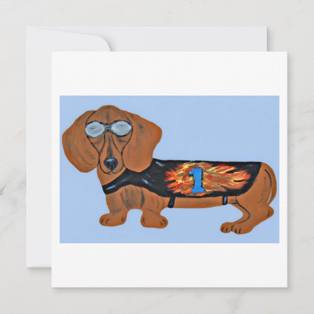 Tax Dachshund i tävlingsjacka Platt Notkort Kort (Framsida)