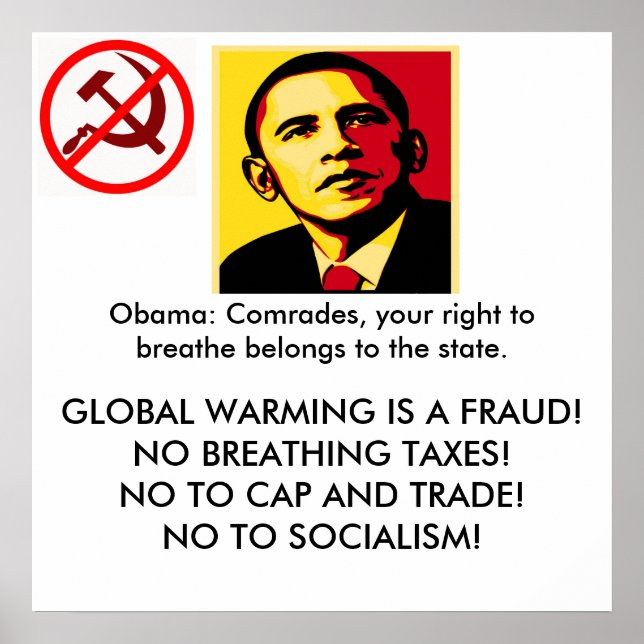 Tax Day Tea Party Poster (Framsidan)