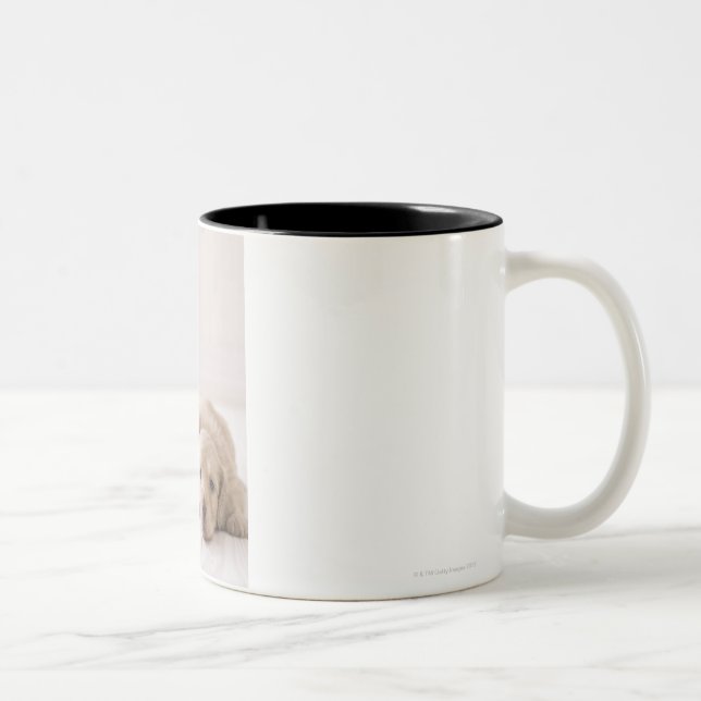 Tax för två miniatyr Två-Tonad mugg (Höger)