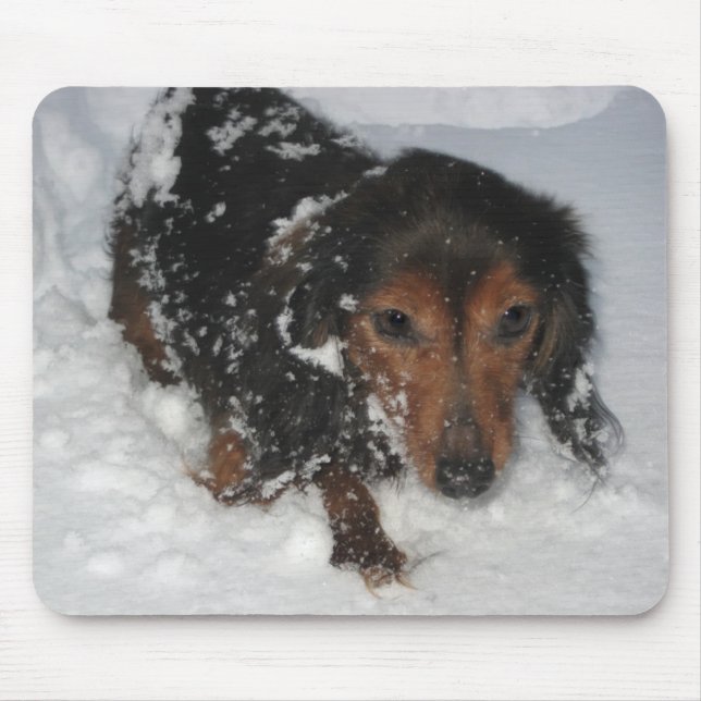 Tax i snön Mousepad Musmatta (Framsidan)