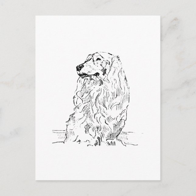 Tax - Långhårig Sausage Dog Vykort (Framsida)