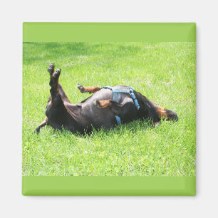 Tax - TGIF Magnet