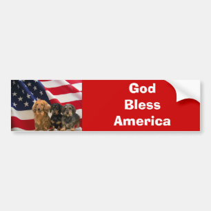 TaxAmerika bildekal