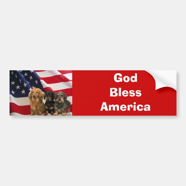 TaxAmerika bildekal (Framsidan)