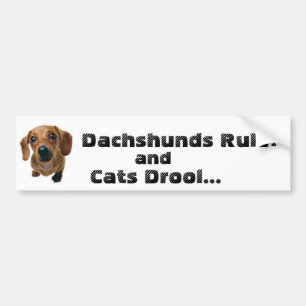 Taxar härskar! och katter dreglar… bildekal