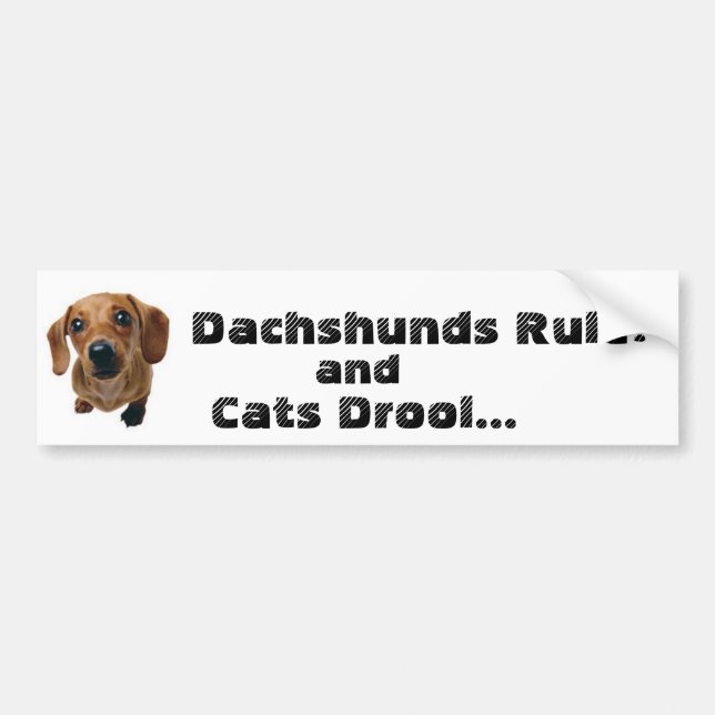 Taxar härskar! och katter dreglar… bildekal (Framsidan)