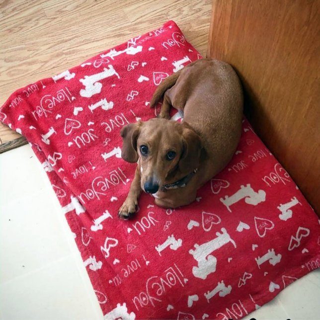 TaxDoxie valentin filt för hjärtor för dag (Dachshund & heart doodles plush minky blanket)
