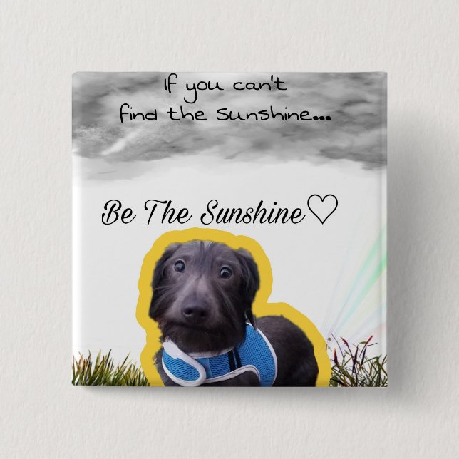 Taxen knäppas knapp (Framsida)