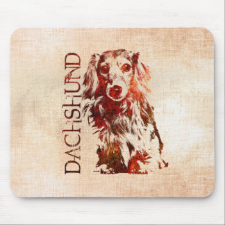 Taxhund - Doxie Musmatta