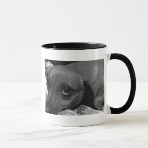 Taxhund med ledsenögon i svartvitt mugg