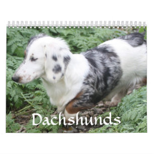 Taxkalender Kalender