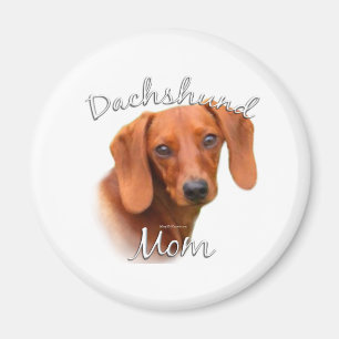 Taxmamma 2 magnet