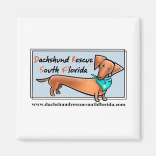Taxrädding södra Florida Magnet