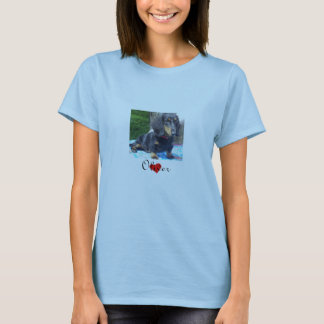 Taxräddingen - landskap kvinnor t-shirt