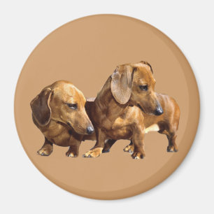 TaxSmoothiesmagnet Magnet
