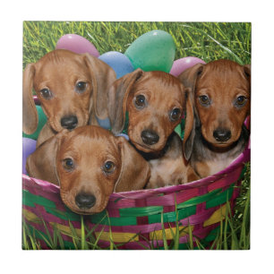 Taxvalpar Kakelplatta