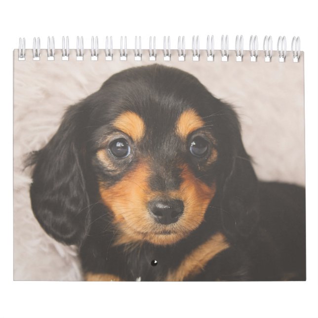 Taxvalpar Kalender (Omslag)