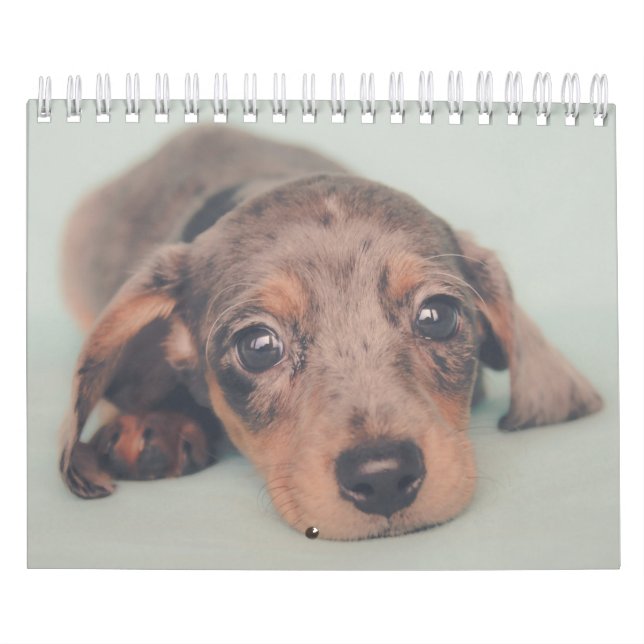 Taxvalpar Kalender (Omslag)