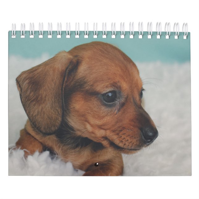 Taxvalpar Kalender (Omslag)