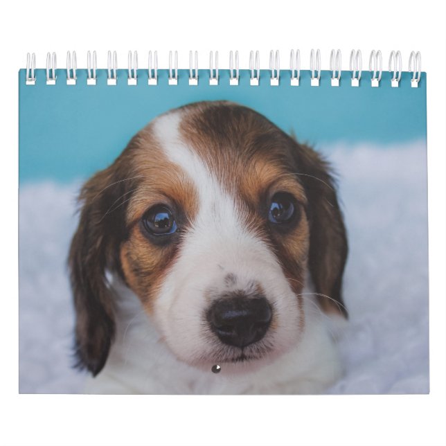 Taxvalpar Kalender (Omslag)