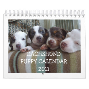 Taxvalpkalender 2011 kalender